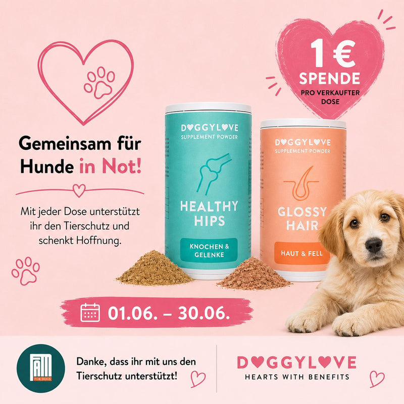 Doggylove Pulver