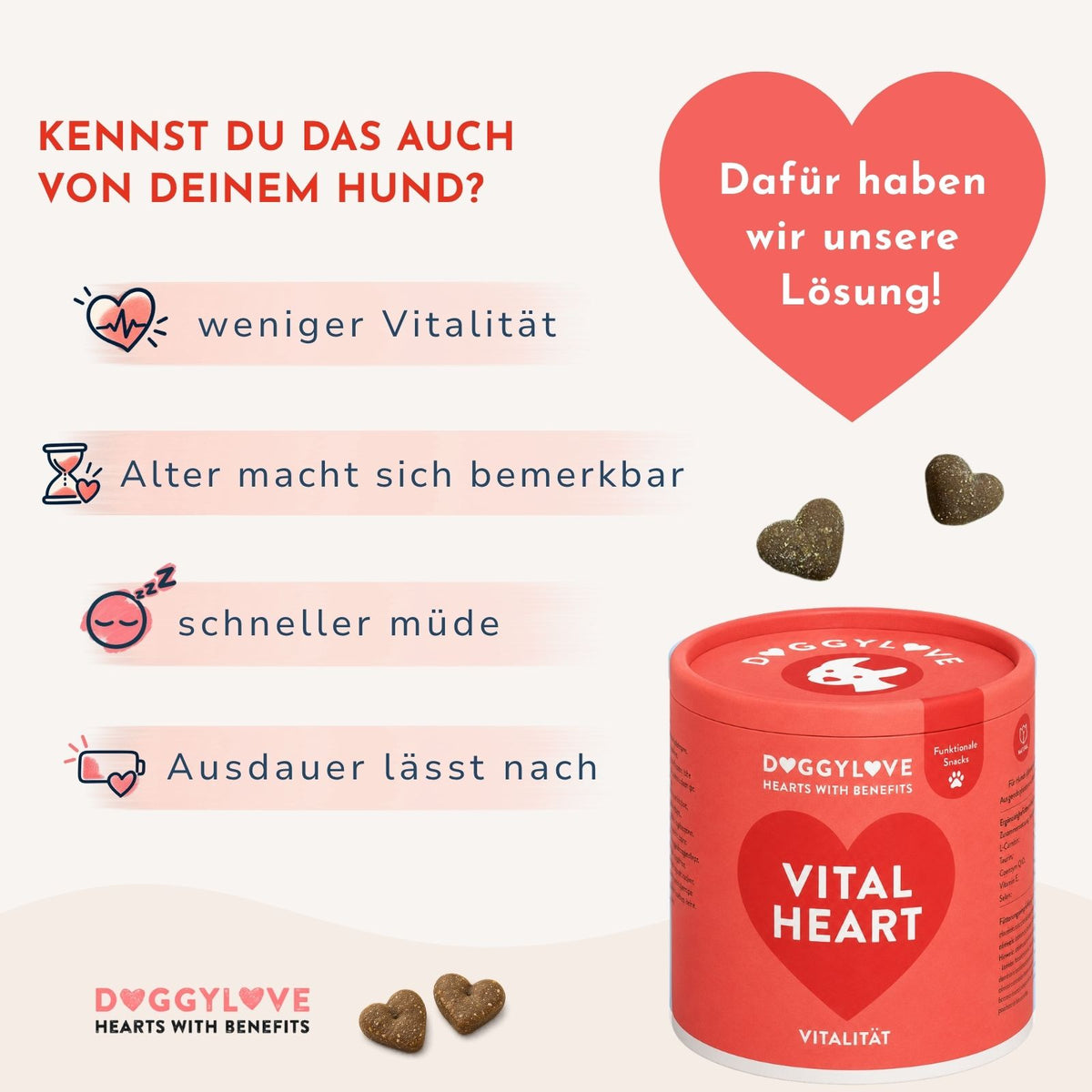 VITAL HEART