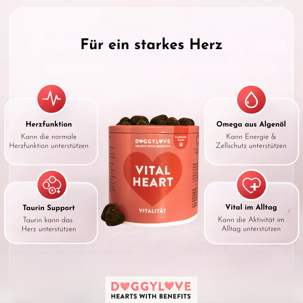 VITAL HEART