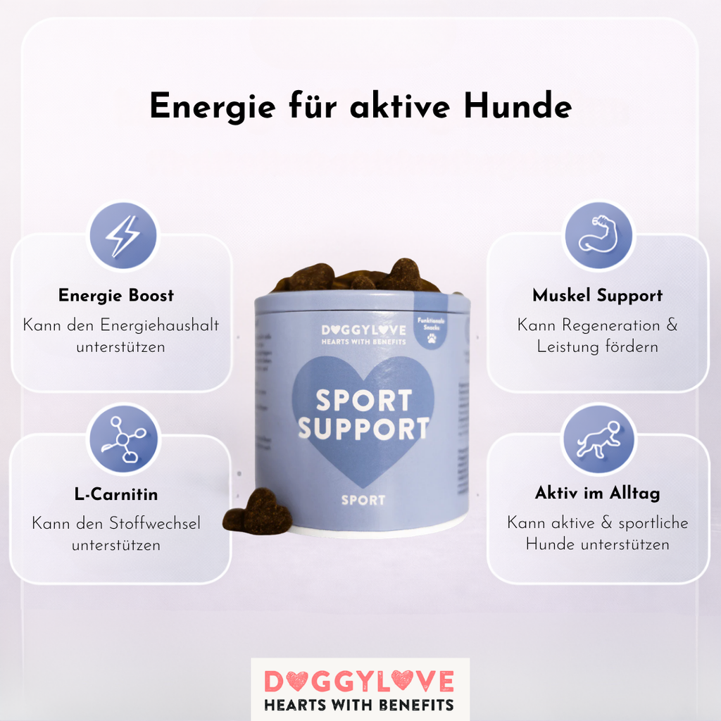 SPORT SUPPORT