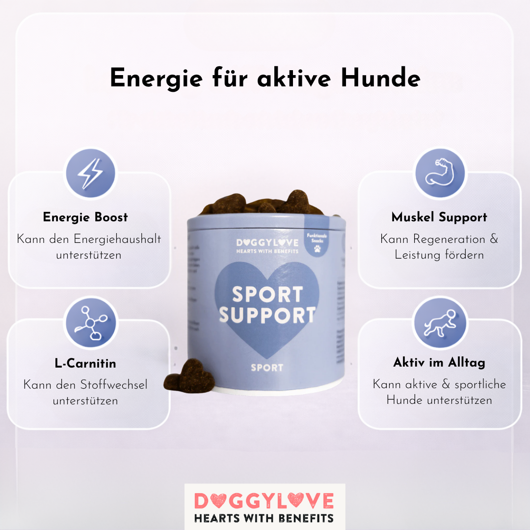 SPORT SUPPORT