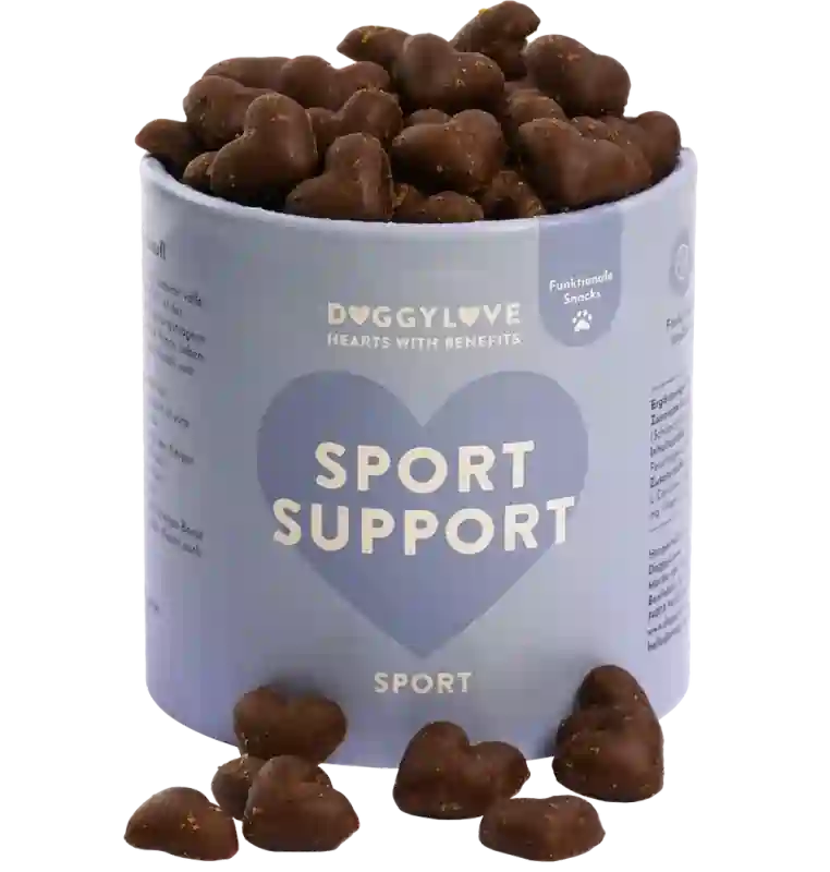 SPORT SUPPORT