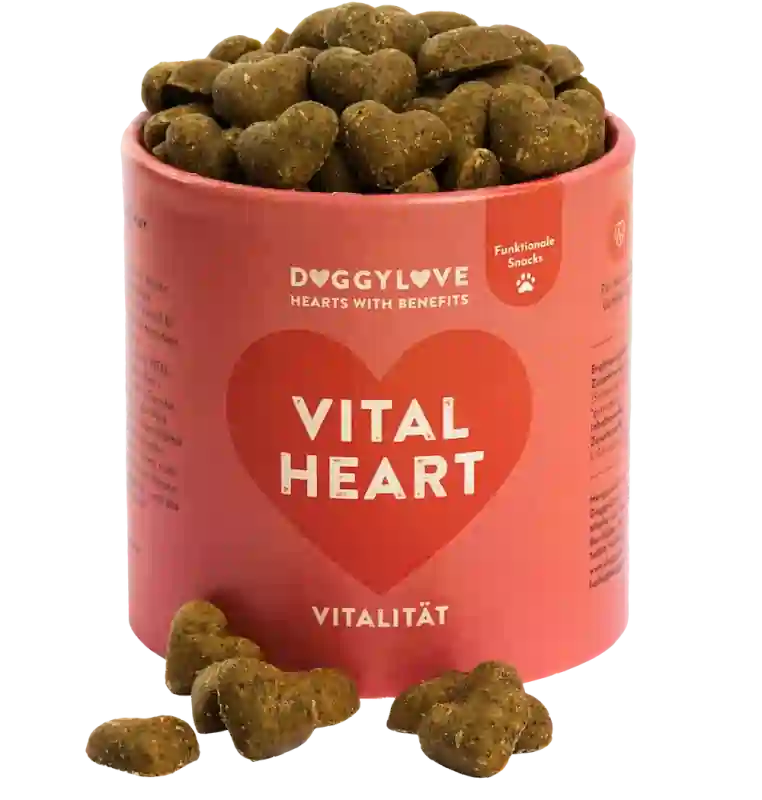 VITAL HEART
